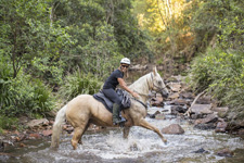 Australia-NSW-Kerewong Hinterland Adventure